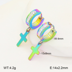 2E4005000baka-656  Stainless Steel Earrings