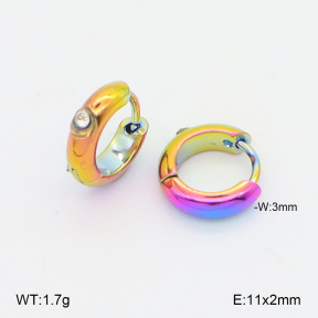 2E4005002aajo-656  Stainless Steel Earrings