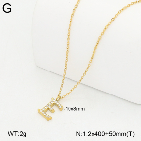 2N4005323vbmb-749  Stainless Steel Necklace