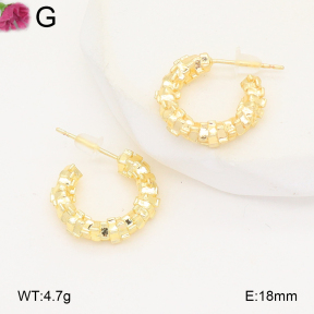 F2E202150baka-J81  Fashion Earrings