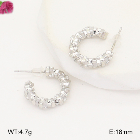 F2E202151baka-J81  Fashion Earrings