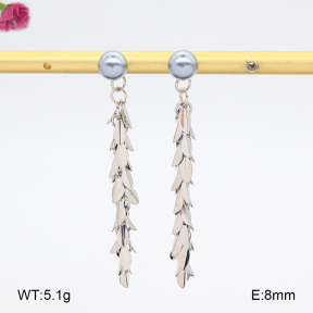 F2E301155vbmb-J81  Fashion Earrings