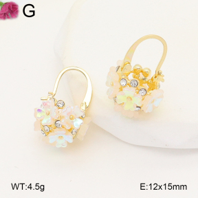 F2E301164vbmb-J81  Fashion Earrings