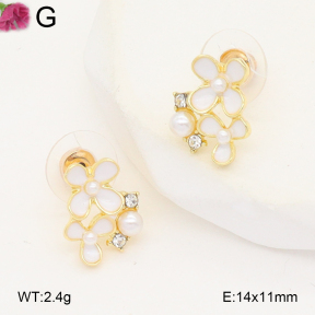 F2E301168baka-J81  Fashion Earrings