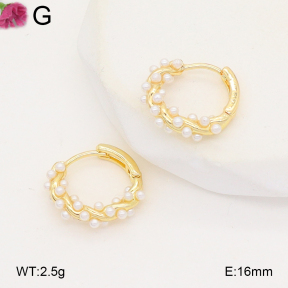 F2E301171ablb-J81  Fashion Earrings