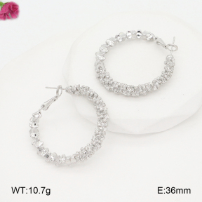 F2E402272baka-J81  Fashion Earrings