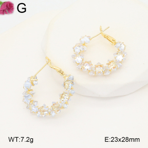 F2E402273baka-J81  Fashion Earrings