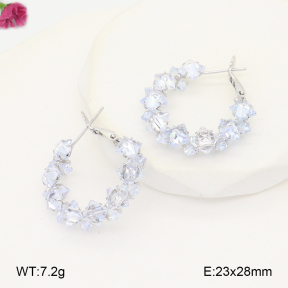 F2E402274baka-J81  Fashion Earrings