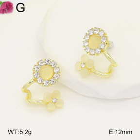F2E402276ablb-J81  Fashion Earrings
