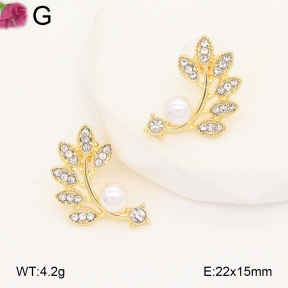 F2E402279baka-J81  Fashion Earrings