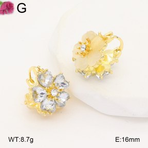 F2E402280baka-J81  Fashion Earrings