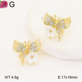 F2E402283baka-J81  Fashion Earrings