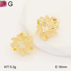 F2E402285aakl-J81  Fashion Earrings