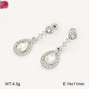 F2E402286aakl-J81  Fashion Earrings