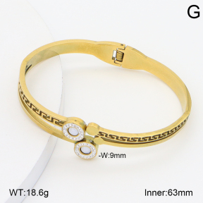 2BA402780bhva-377  Stainless Steel Bangle