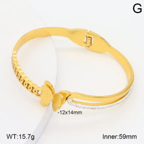 2BA402789bhva-377  Stainless Steel Bangle