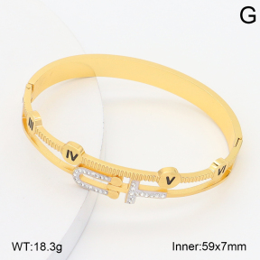 2BA402794vhha-377  Stainless Steel Bangle