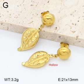 2E2006753aajl-452  Stainless Steel Earrings
