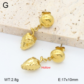 2E2006754aajl-452  Stainless Steel Earrings
