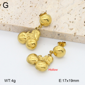 2E2006755aajl-452  Stainless Steel Earrings