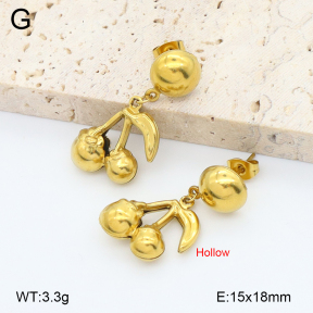 2E2006756aajl-452  Stainless Steel Earrings