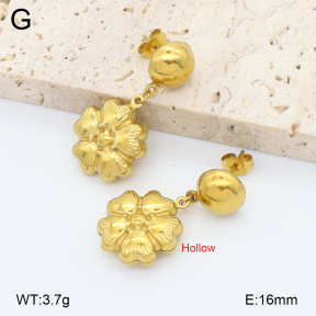 2E2006757aajl-452  Stainless Steel Earrings