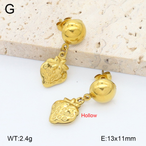 2E2006758aajl-452  Stainless Steel Earrings