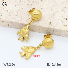 2E2006760aajl-452  Stainless Steel Earrings