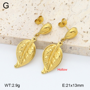 2E2006761aajl-452  Stainless Steel Earrings