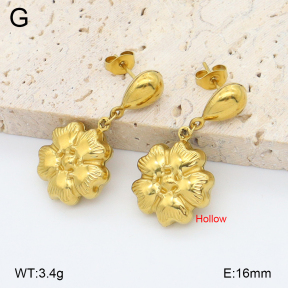 2E2006762aajl-452  Stainless Steel Earrings