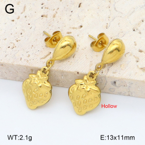 2E2006764aajl-452  Stainless Steel Earrings