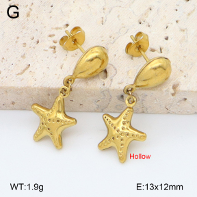 2E2006766aajl-452  Stainless Steel Earrings