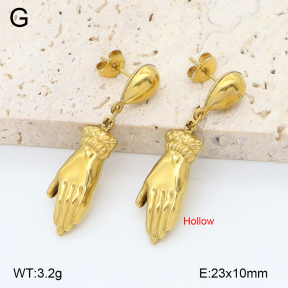 2E2006767aajl-452  Stainless Steel Earrings
