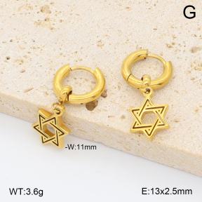 2E2006772vhno-209  Stainless Steel Earrings