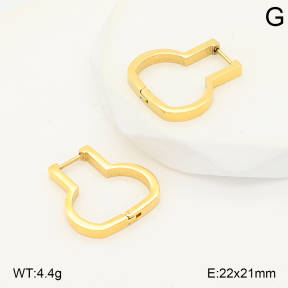 2E2006775vbmb-253  Stainless Steel Earrings