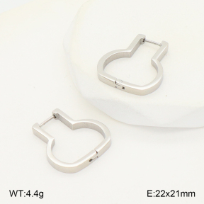 2E2006776ablb-253  Stainless Steel Earrings