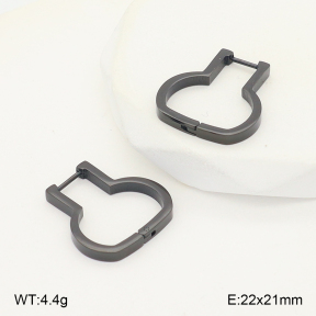 2E2006777vbll-253  Stainless Steel Earrings
