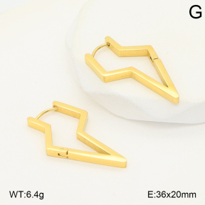 2E2006778vbmb-253  Stainless Steel Earrings