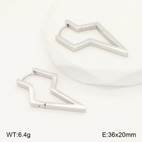 2E2006779ablb-253  Stainless Steel Earrings