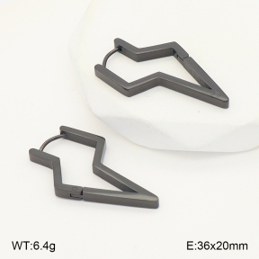 2E2006780vbll-253  Stainless Steel Earrings