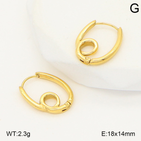 2E2006781vbnl-253  Stainless Steel Earrings