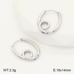 2E2006782bbml-253  Stainless Steel Earrings