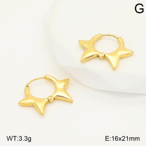 2E2006783vbnl-253  Stainless Steel Earrings