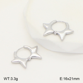 2E2006784bbml-253  Stainless Steel Earrings