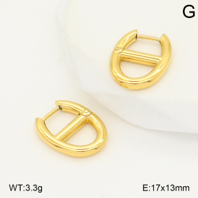 2E2006785vbnl-253  Stainless Steel Earrings