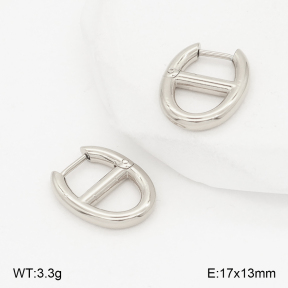 2E2006786bbml-253  Stainless Steel Earrings