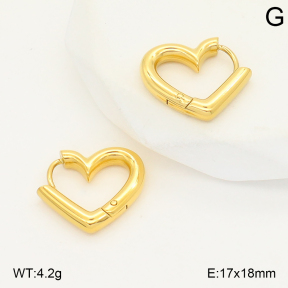 2E2006787vbnl-253  Stainless Steel Earrings