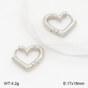 2E2006788bbml-253  Stainless Steel Earrings