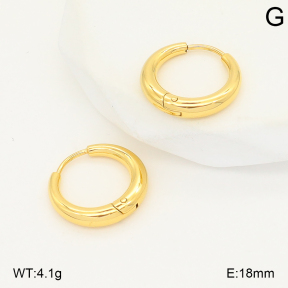 2E2006789vbnl-253  Stainless Steel Earrings