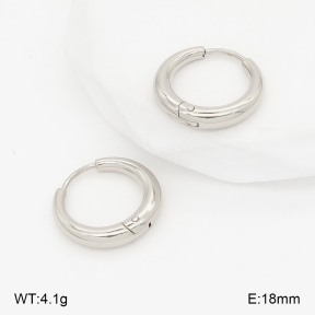2E2006790bbml-253  Stainless Steel Earrings